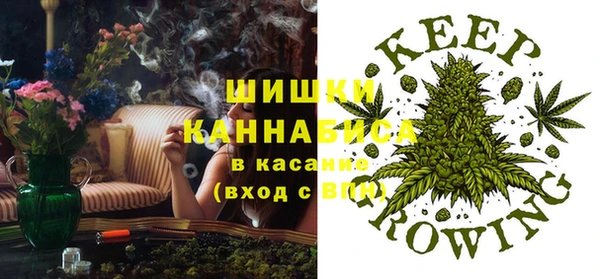 mix Белокуриха