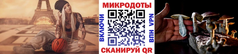 Галлюциногенные грибы мухоморы  Заозёрск 